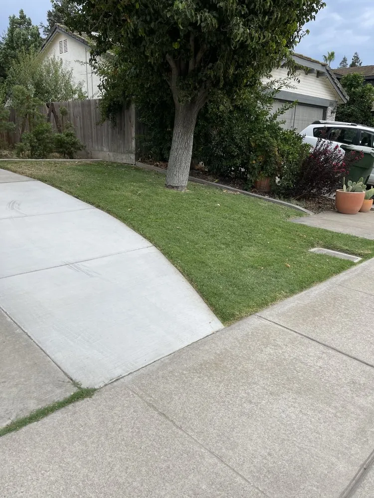 Trusted fence repair service in Ripon, CA - Fresher Grass