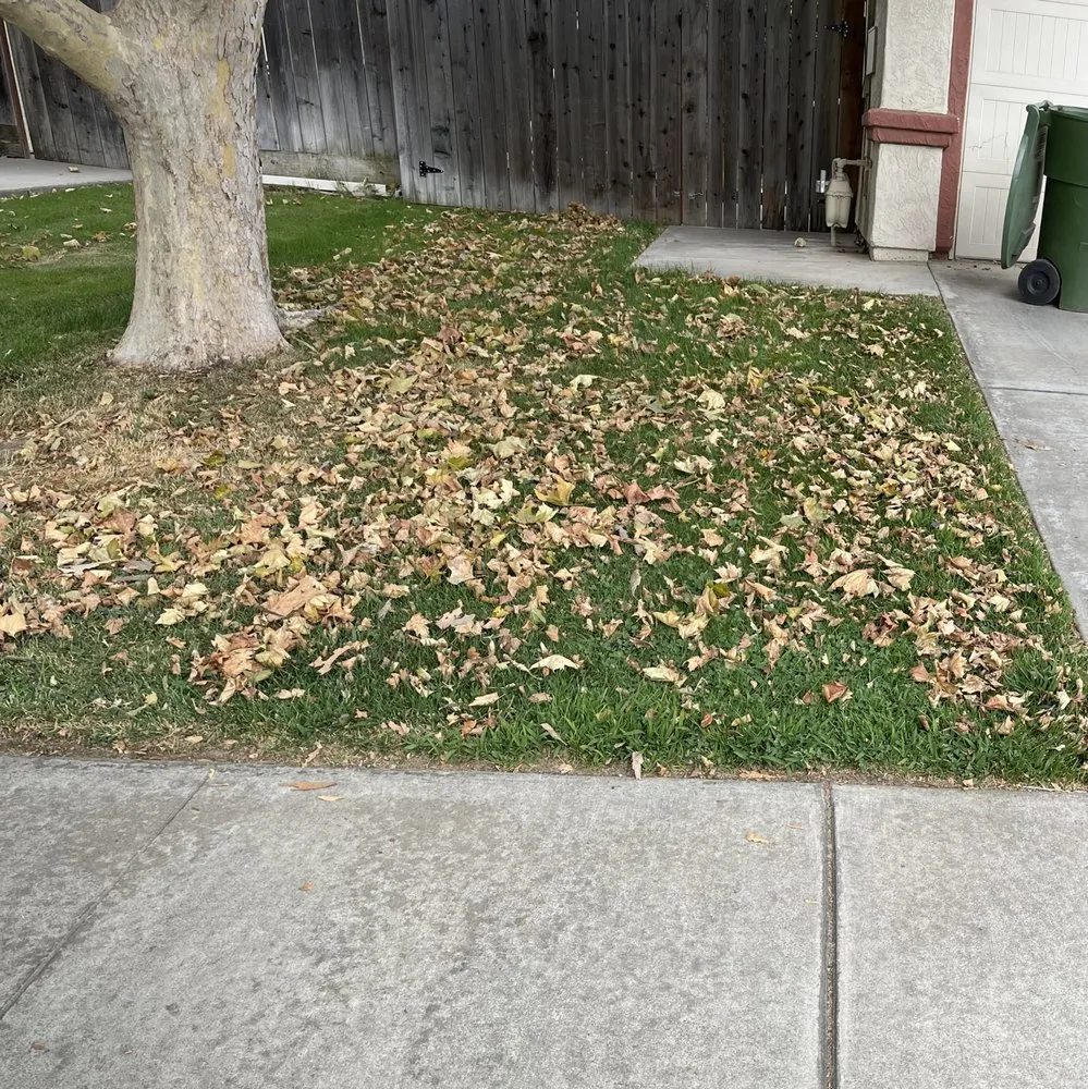 Local chain link fencing for homes in Ripon, CA by Fresher Grass