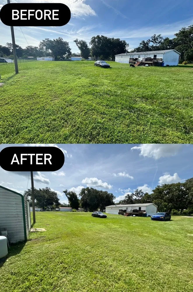 Local fence installation service in Dover, FL - G2 Services