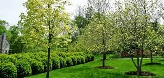 Top-rated wood fence service for homes in Dover, FL by G2 Services
