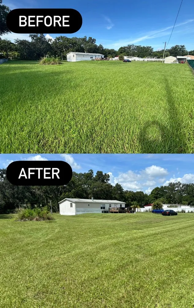 Top-rated wood fence service experts serving Dover, FL - G2 Services