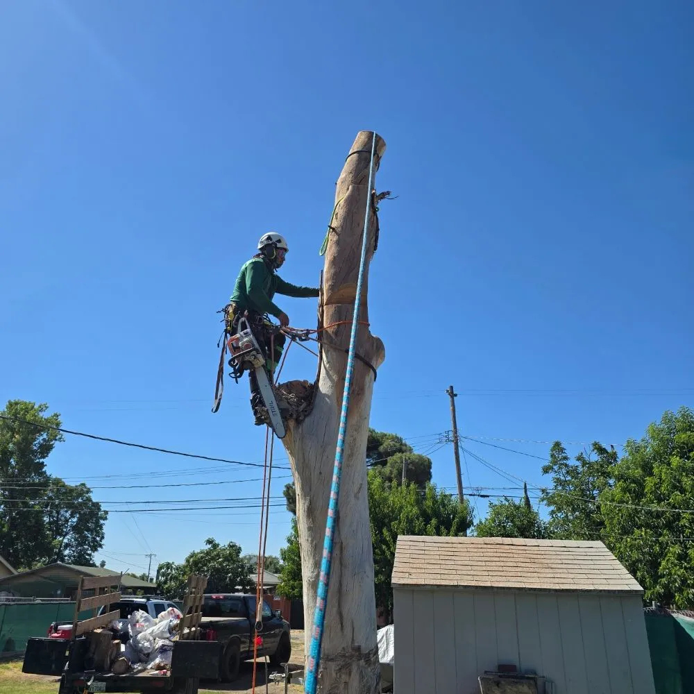 Reliable vinyl fence installation service in Lemoore, CA - Got Junk