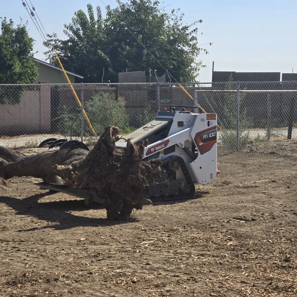 Professional vinyl fence installation service in Lemoore, CA - Got Junk
