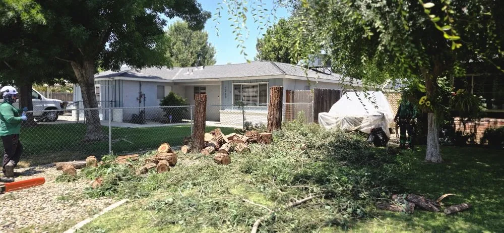 Affordable wood fence service service in Lemoore, CA - Got Junk