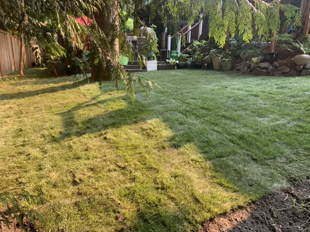 Local wood fence service experts serving Langley, WA - Handiwork Done Wright
