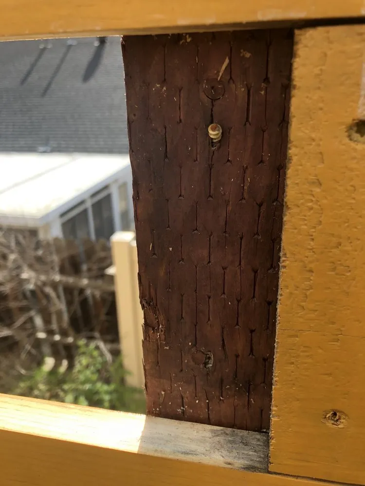 Quality wood fence service for homes in Ramona, CA by Hyper Construction