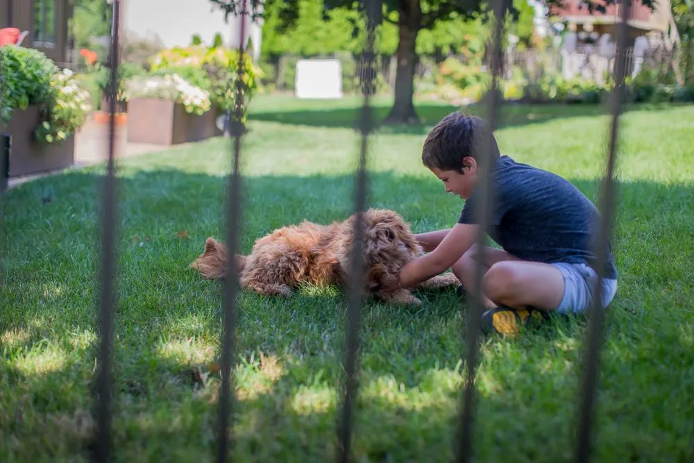 Trusted chain link fencing experts serving Gap, PA - Integrous