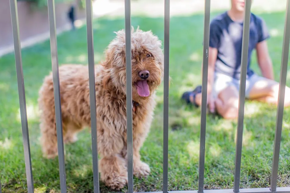 Affordable chain link fencing service in Gap, PA - Integrous