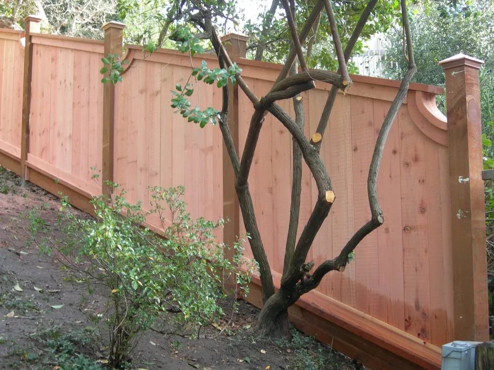 Affordable privacy fencing service in Martinez, CA - Java Fence