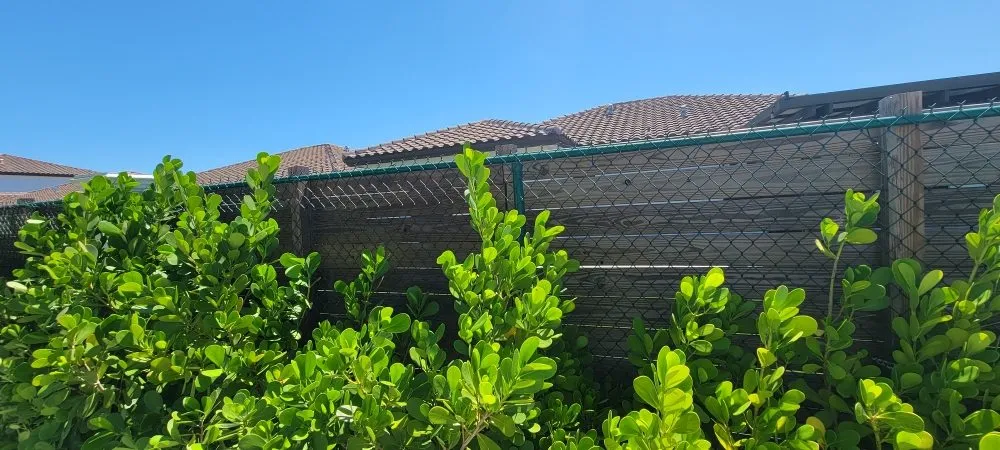 Professional privacy fencing in Miami, FL by Jonathan Multi Services