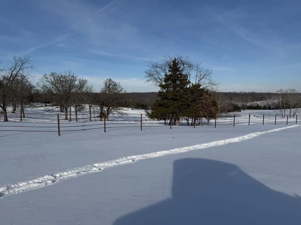 Local chain link fencing in Eugene, MO by J&W Mobile Welding