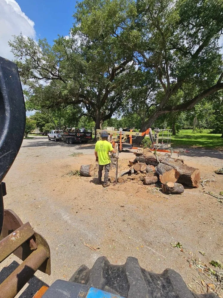 Trusted fence installation in Angleton, TX by Landyn Tree's