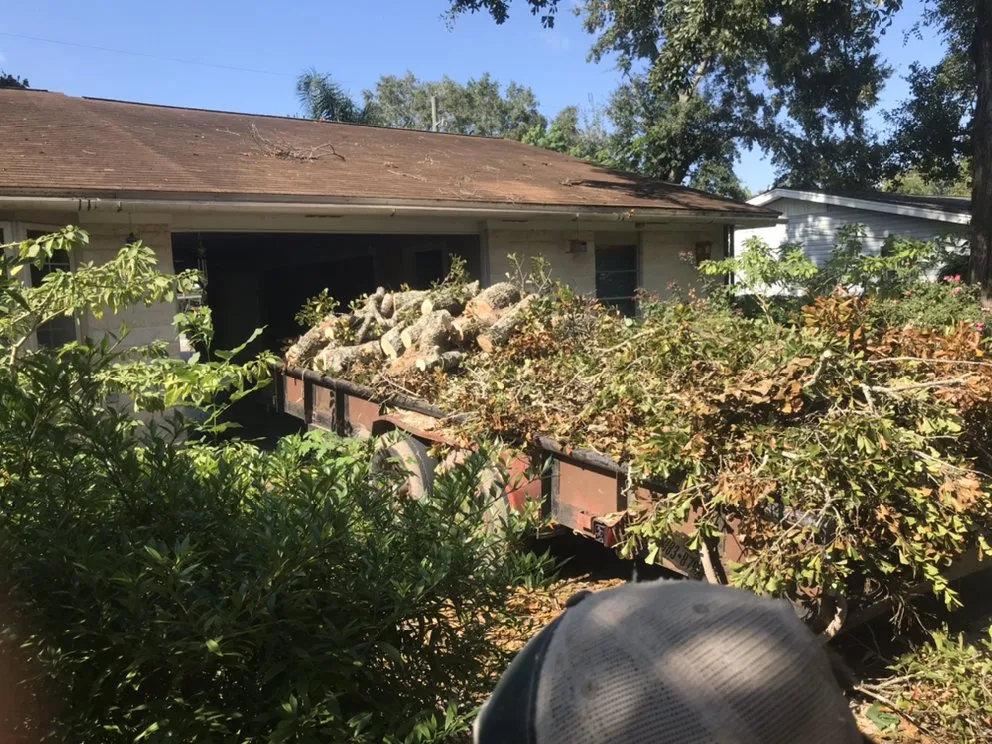 Local fence repair experts serving Angleton, TX - Landyn Tree's