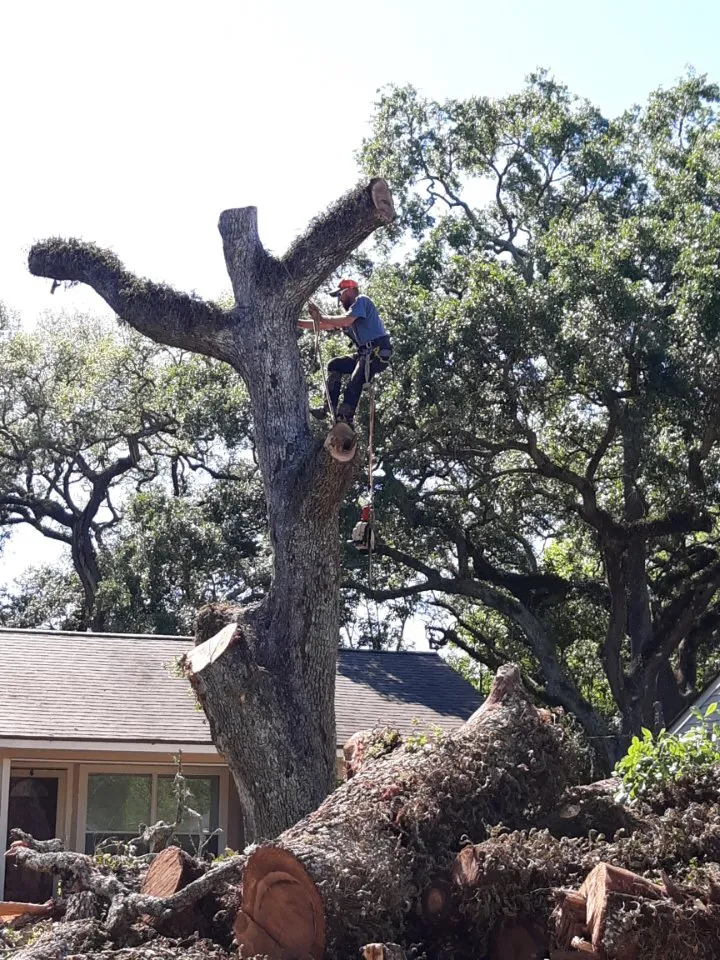 Local privacy fencing service in Angleton, TX - Landyn Tree's