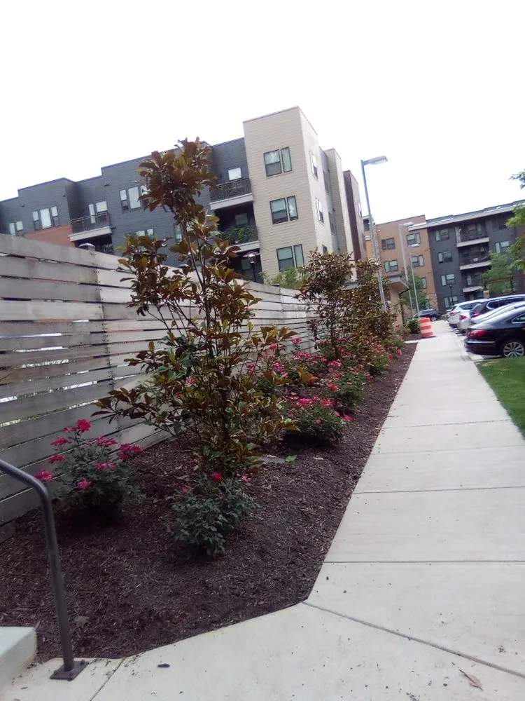 Local fence installation experts serving Silver Spring, MD - Lemus Contracting Services