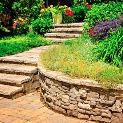 Lemus Contracting Services