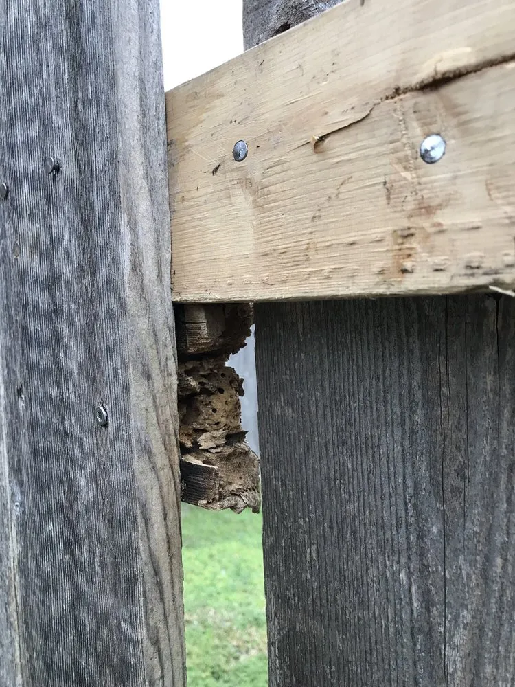 Affordable fence repair in Austin, TX by Liquid Contracting