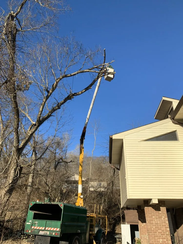 Top-rated fence installation experts serving Cleves, OH - Mac & Trees