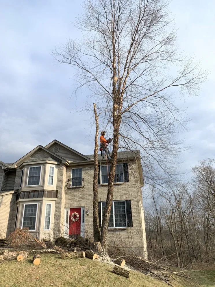 Local wood fence service in Cleves, OH by Mac & Trees