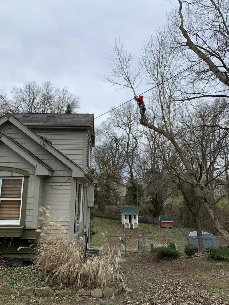 Local fence installation experts serving Cleves, OH - Mac & Trees