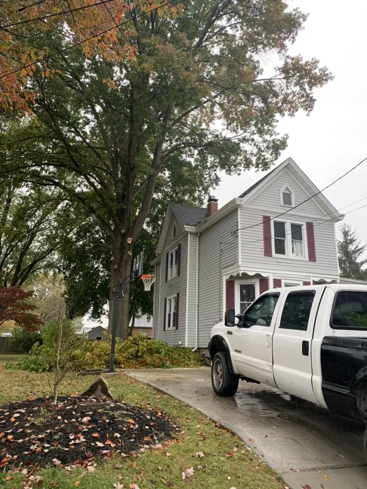 Professional fence repair for homes in Cleves, OH by Mac & Trees
