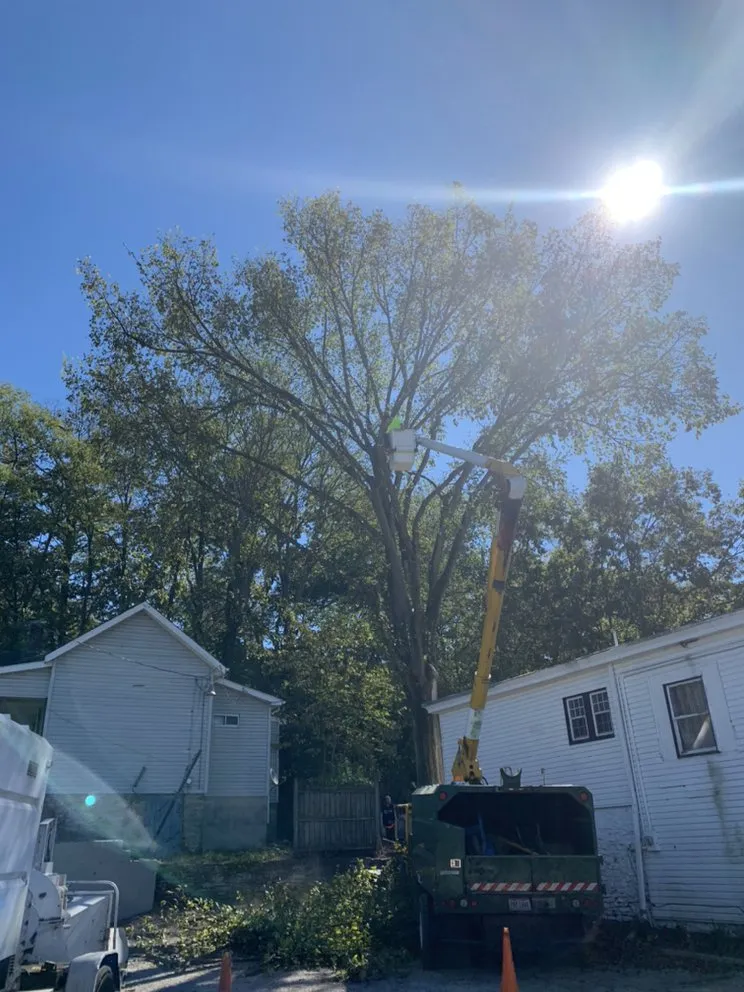 Reliable fence repair in Cleves, OH by Mac & Trees