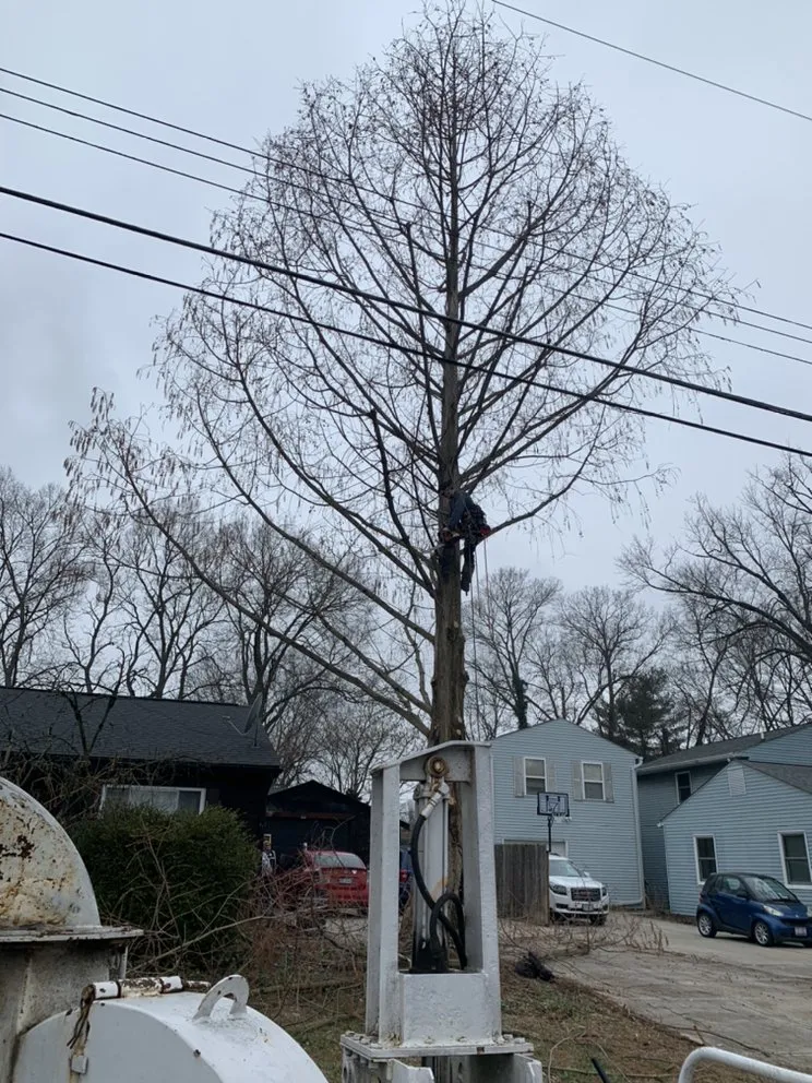 Affordable fence repair experts serving Cleves, OH - Mac & Trees
