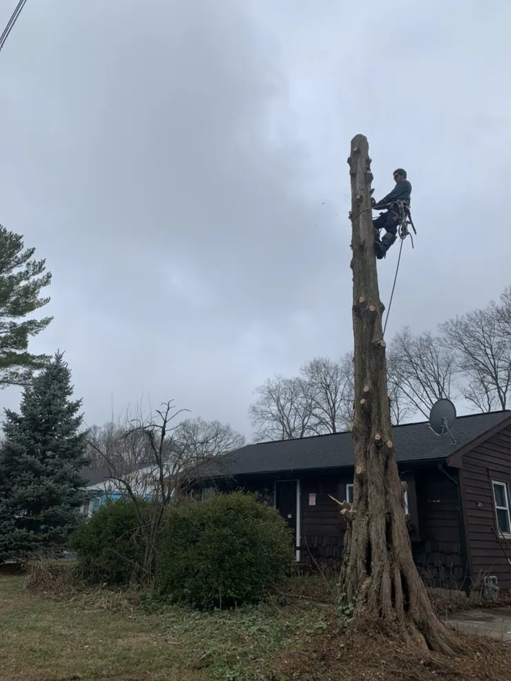 Trusted fence installation for homes in Cleves, OH by Mac & Trees