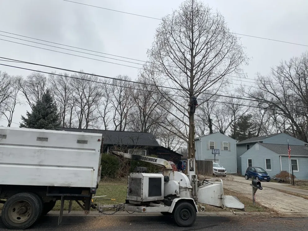 Local chain link fencing in Cleves, OH by Mac & Trees