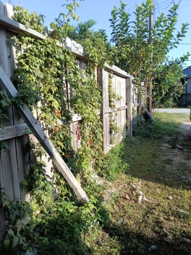 Quality fence repair service in Mansfield, TX - Manitaz Multi Services
