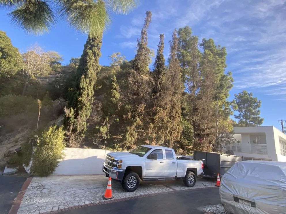 Expert vinyl fence installation service in Azusa, CA - Manny’s Tree