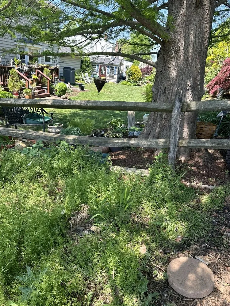 Professional fence repair service in Silver Spring, MD - Manuel Construction Services