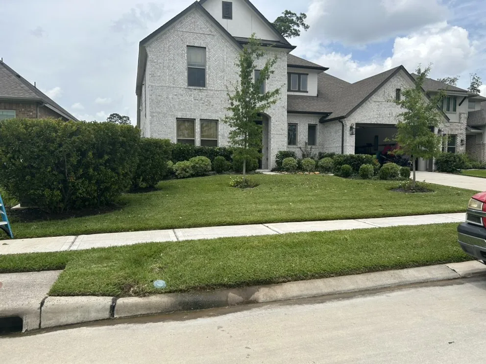Quality chain link fencing for homes in Conroe, TX by Martinez Services