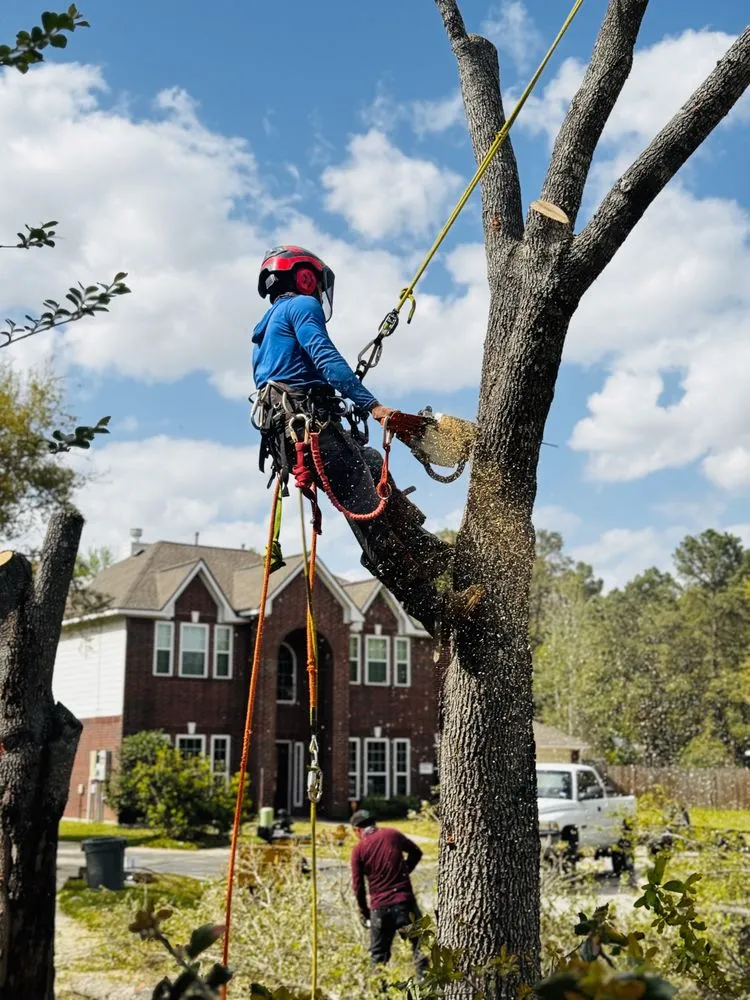 Trusted vinyl fence installation experts serving Spring, TX - M&J Tree Professionals