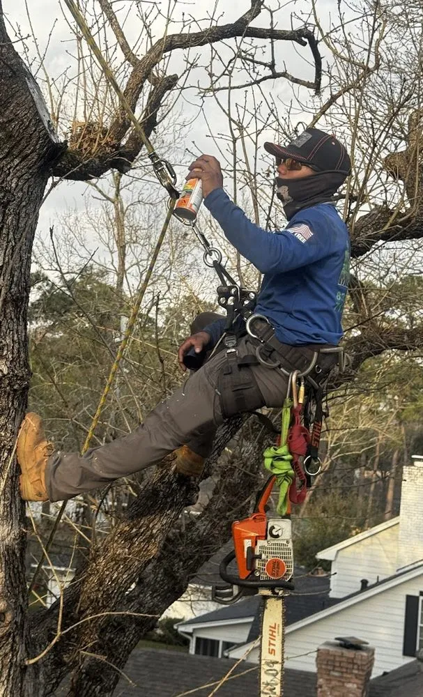 Trusted chain link fencing for homes in Spring, TX by M&J Tree Professionals