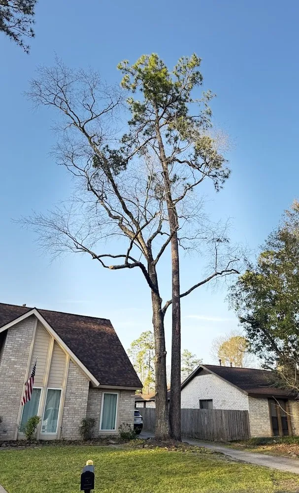 Professional fence repair service in Spring, TX - M&J Tree Professionals