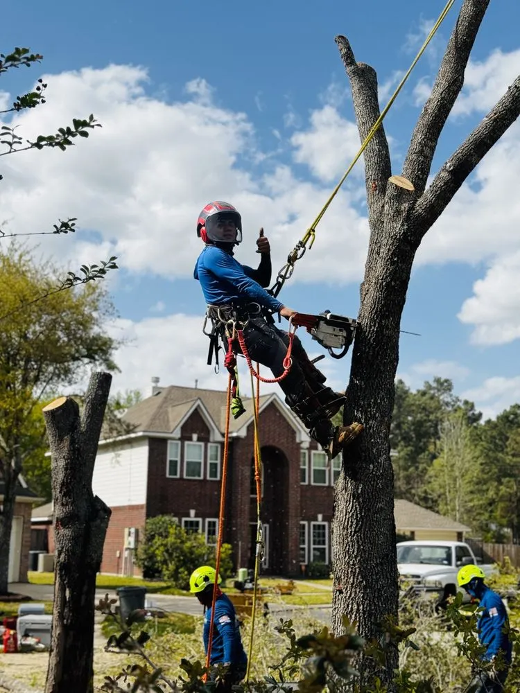 Expert fence installation service in Spring, TX - M&J Tree Professionals