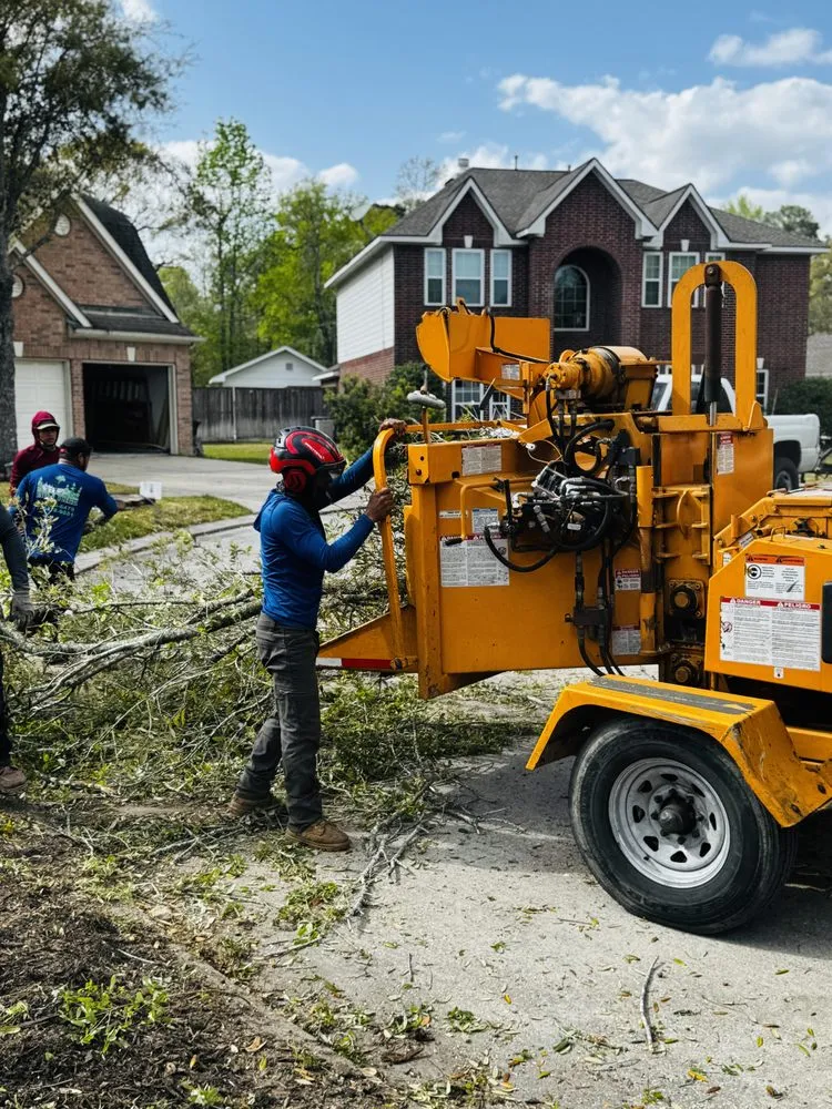Trusted fence repair service in Spring, TX - M&J Tree Professionals