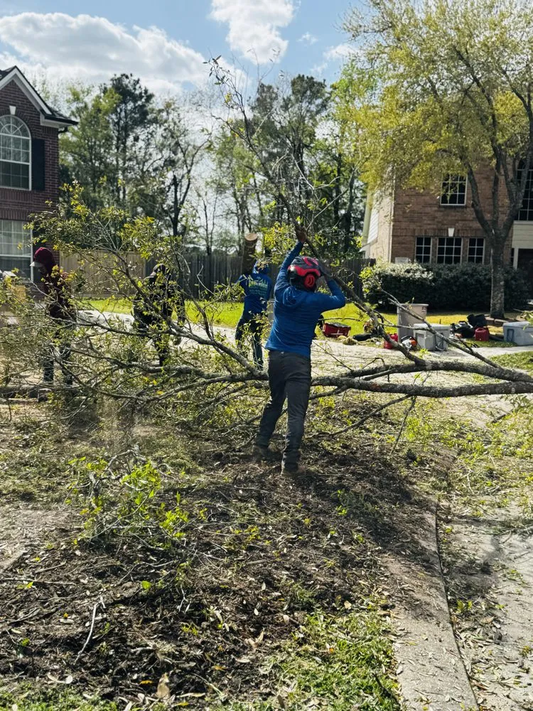 Quality fence repair experts serving Spring, TX - M&J Tree Professionals
