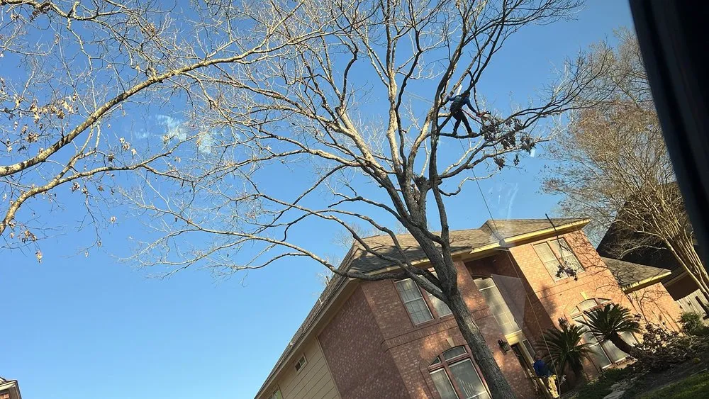 Trusted fence installation experts serving Spring, TX - M&J Tree Professionals
