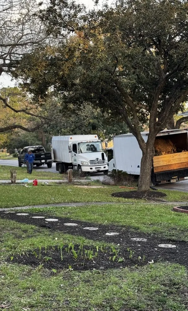 Local privacy fencing experts serving Spring, TX - M&J Tree Professionals