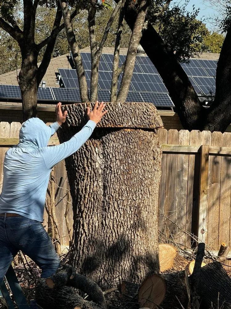 Reliable wood fence service service in Buda, TX - Morales Tree Services