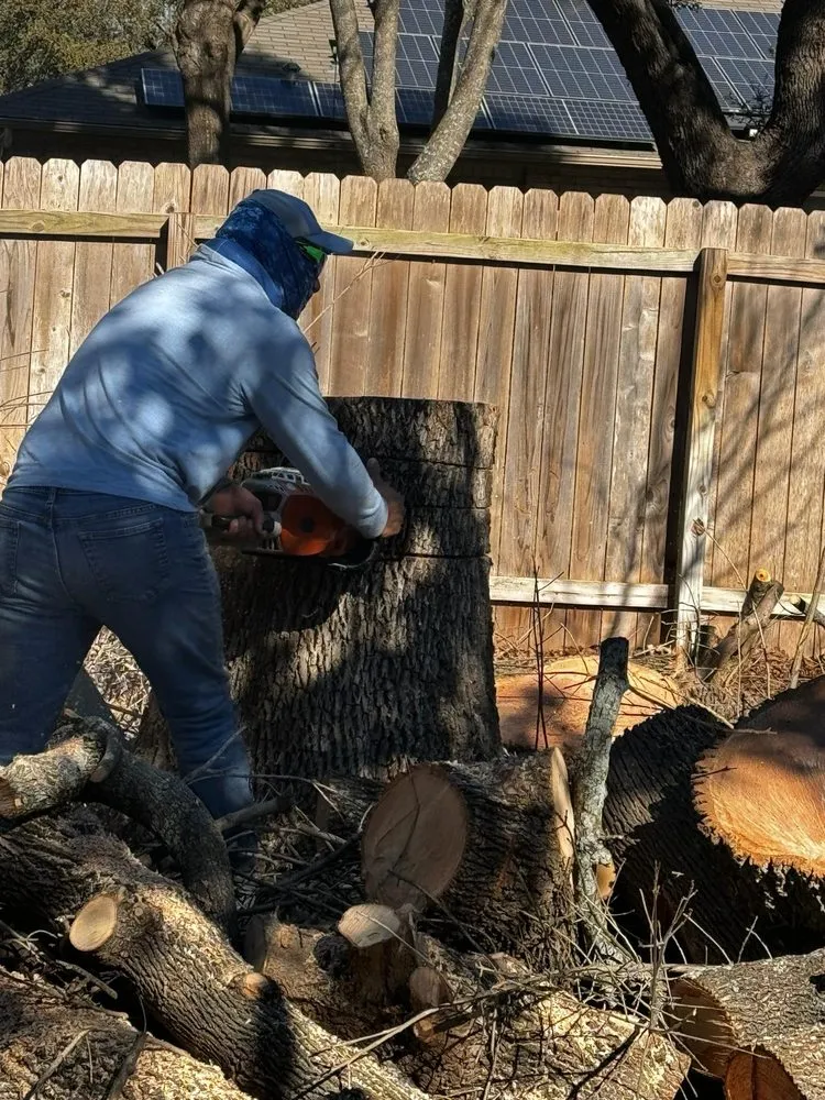 Affordable vinyl fence installation in Buda, TX by Morales Tree Services