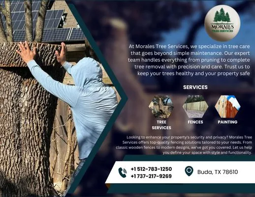 Morales Tree Services Logo