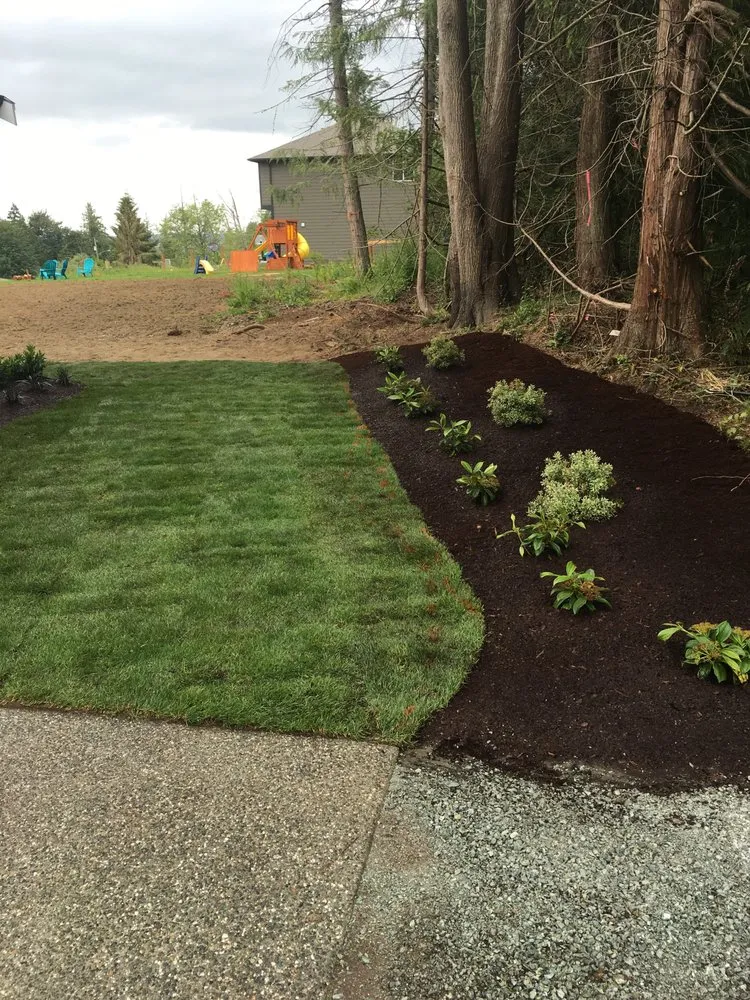Trusted chain link fencing for homes in Everett, WA by Munis