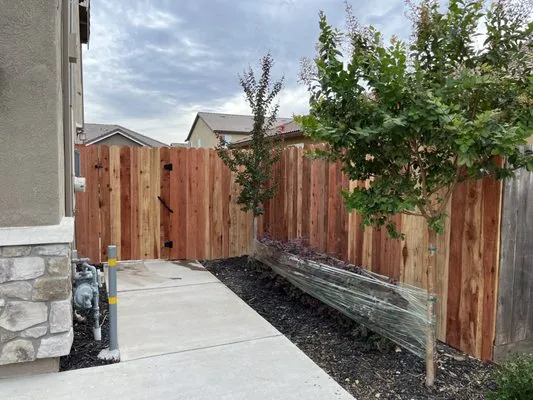 MV Solid Fencing