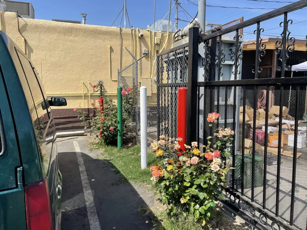 Professional chain link fencing experts serving Exeter, CA - Mx Fencing