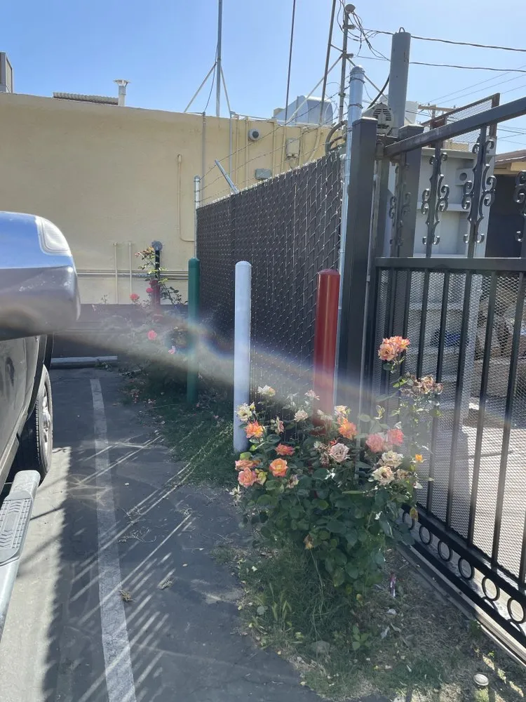 Affordable fence installation experts serving Exeter, CA - Mx Fencing