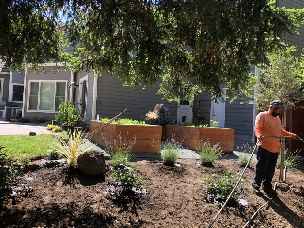 Local privacy fencing in Concord, CA by Native Earth