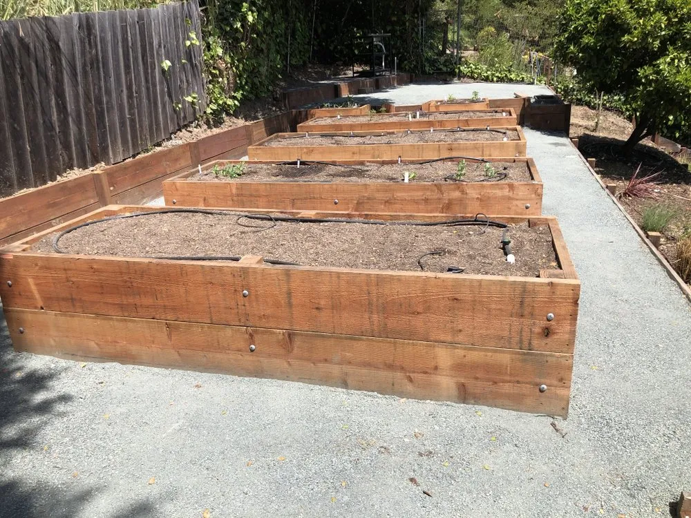 Quality privacy fencing for homes in Concord, CA by Native Earth